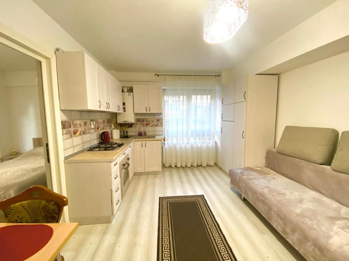 Apartmán Apartament Sara Iasi Exteriér fotografie